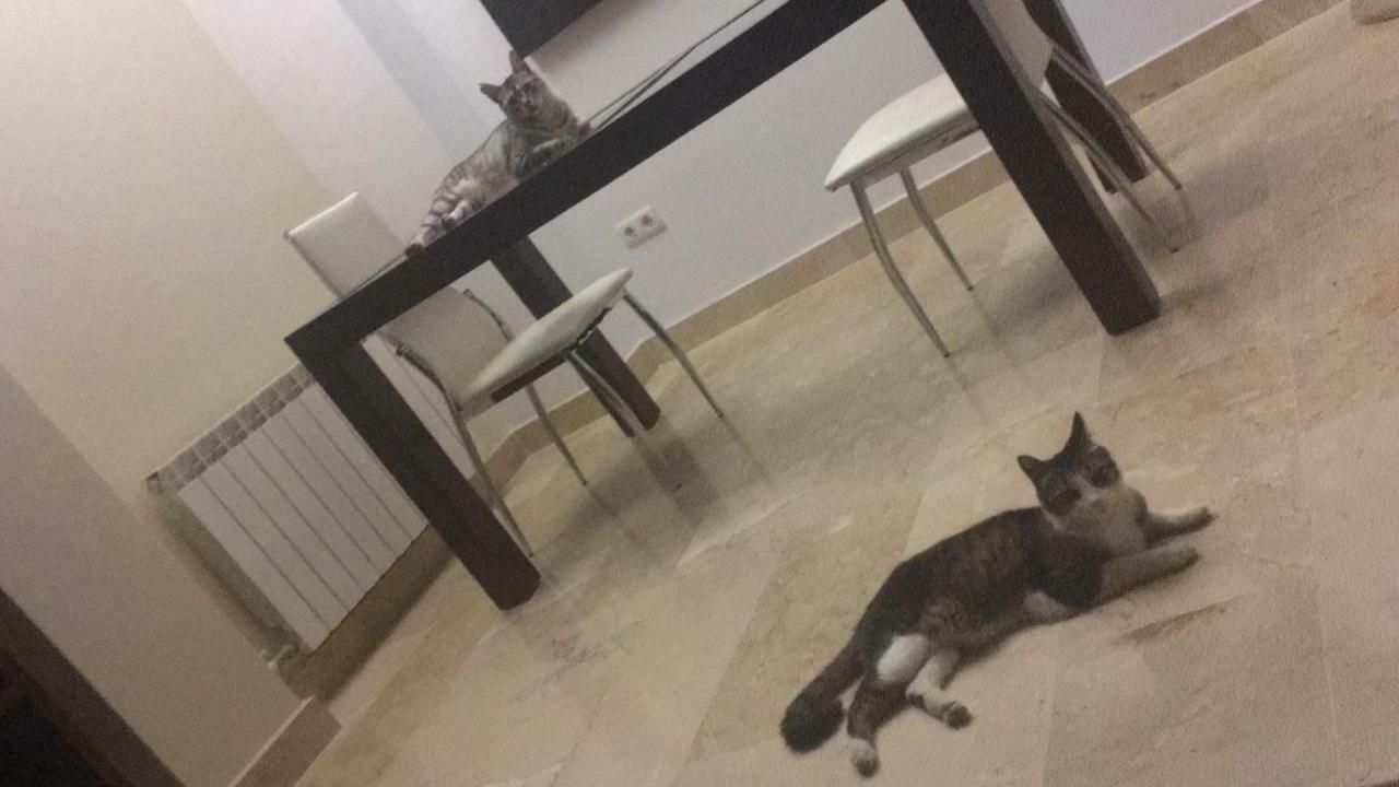 Casa Familiar En Armilla别墅 外观 照片